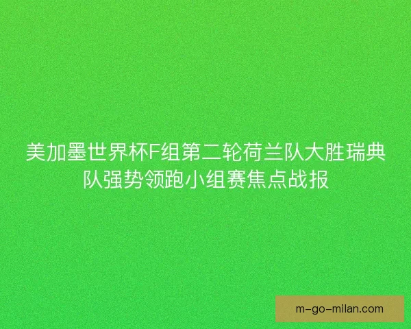 美加墨世界杯F组第二轮荷兰队大胜瑞典队强势领跑小组赛焦点战报